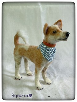 Needlefelted “ Aloka “